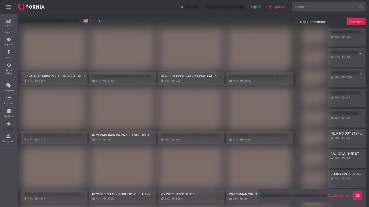 Upornia Video Downloader browser extension screenshot 3