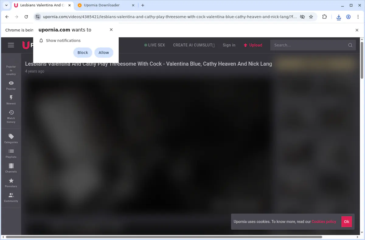 Upornia Video Downloader browser extension screenshot 4