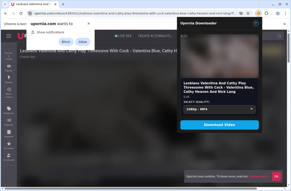Upornia Video Downloader browser extension screenshot 5