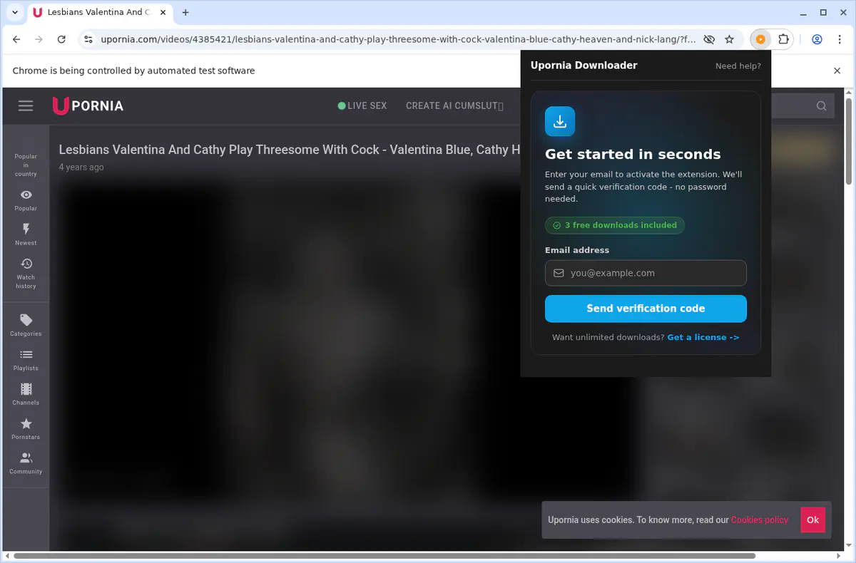 Upornia Video Downloader browser extension screenshot 7